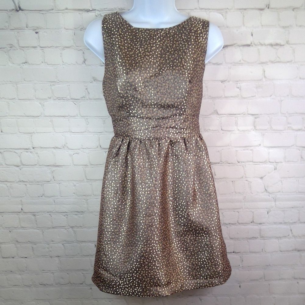 NWT Ark & Co Metallic Fit and Flare Low Back Dress